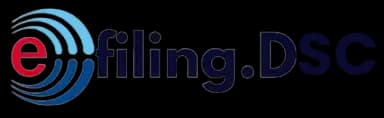 eFiling Infotech Logo